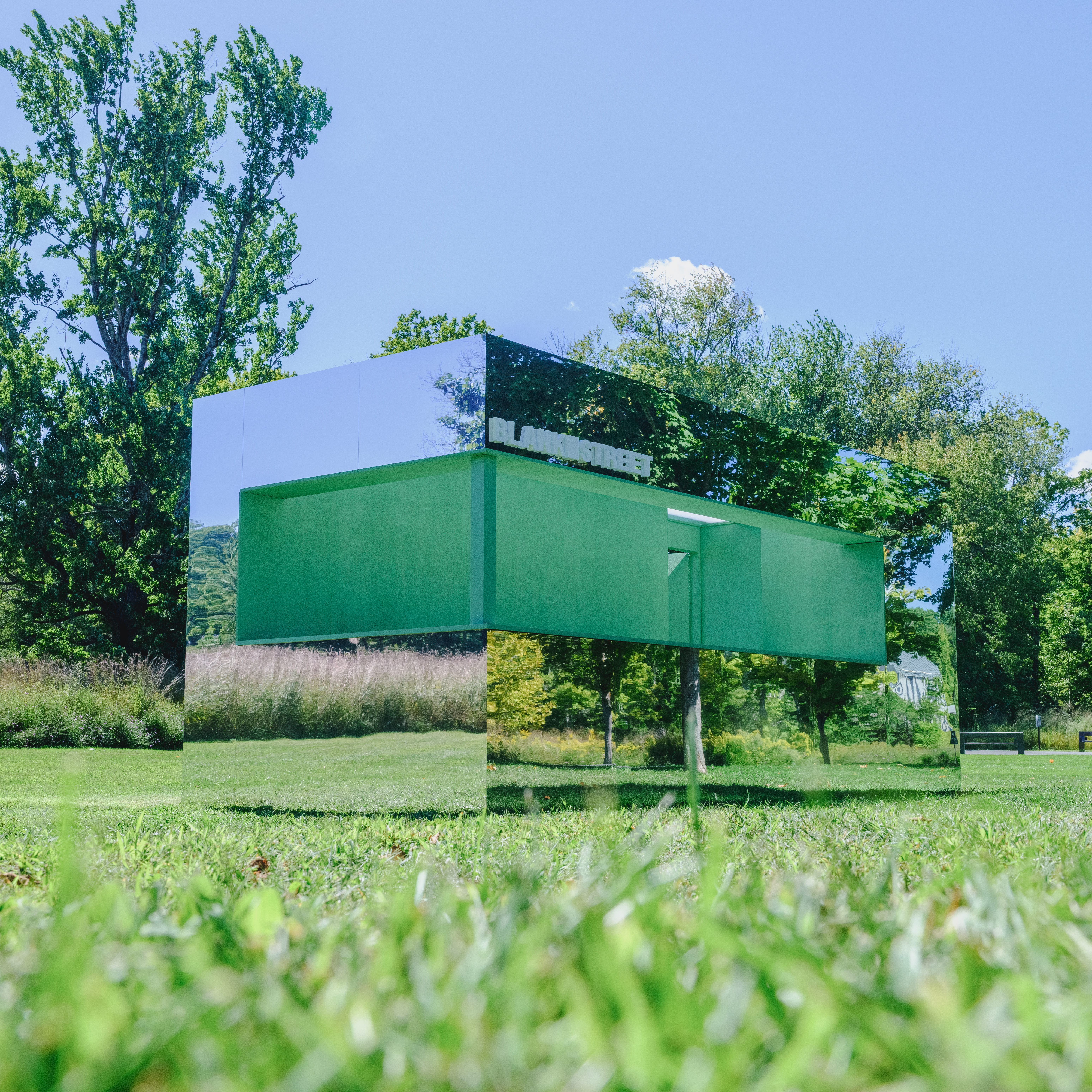 media