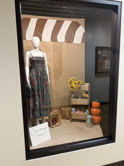 Professional Window Display