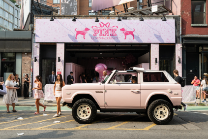 Victoria\'s Secret PINK x Love Shack Fancy Dream Closet